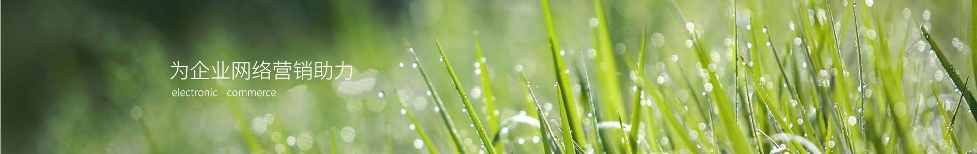 еԶ󿱲Ƽ޹˾